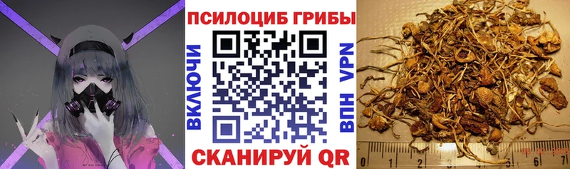 сколько стоит  hydra как войти  Галлюциногенные грибы прущие грибы  Константиновск 